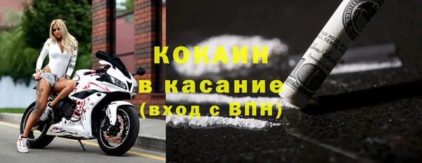 СК Богородск
