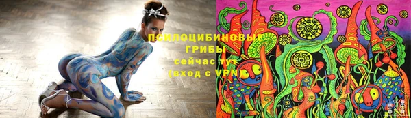 СК Богородск