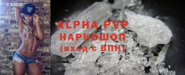 тгк Бородино