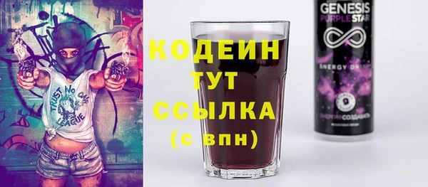 тгк Бородино