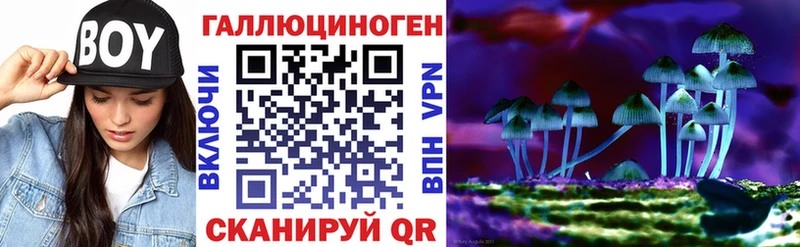 Псилоцибиновые грибы Psilocybine cubensis  хочу   Борзя 