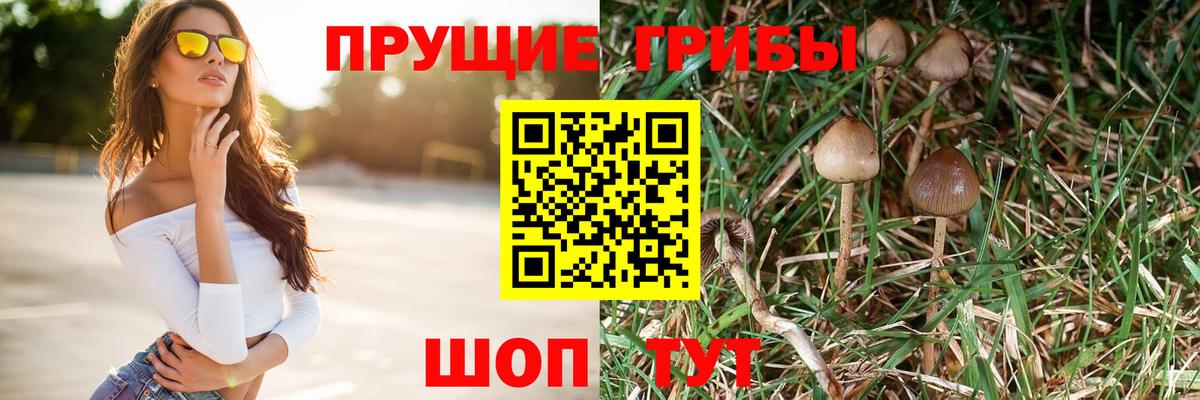 Борзя  Псилоцибиновые грибы мицелий  Вход с VPN  Галлюциногенные грибы мицелий 