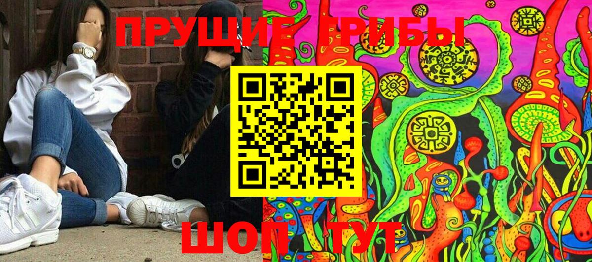 Галлюциногенные грибы мицелий Борзя